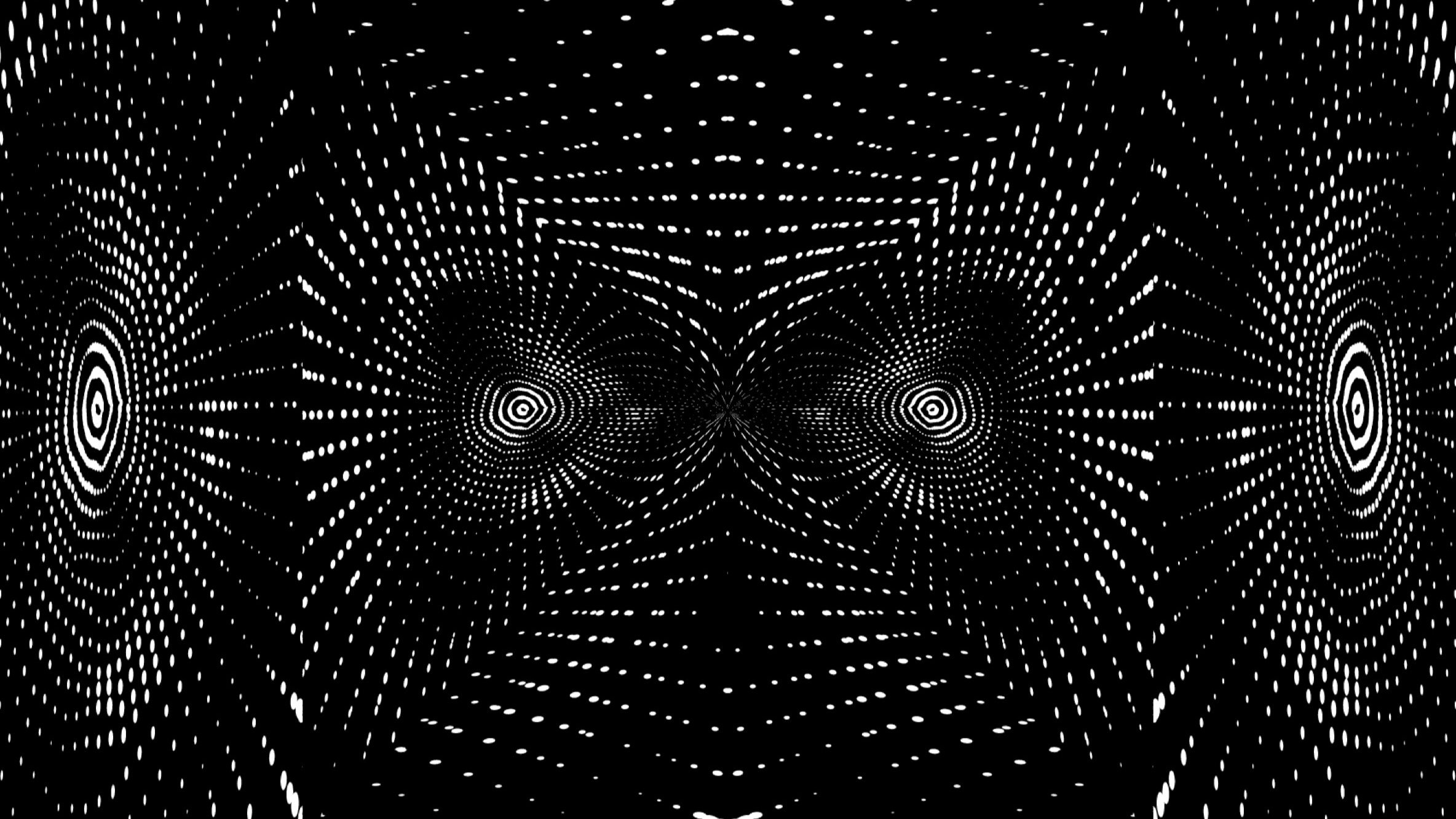 A symmetrical lattice of fine white lines forming mirrored concentric patterns on black.
